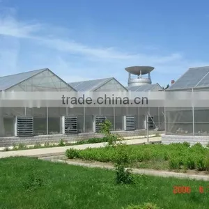 Custom Greenhouses thumbnail-3
