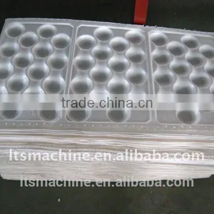Foam Tray Forming Making Machine thumbnail-1