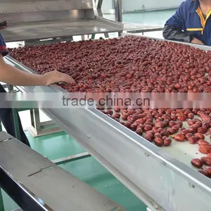 Red Dates Multiple Layer Stainless Steel Conveyor Dryer thumbnail-5