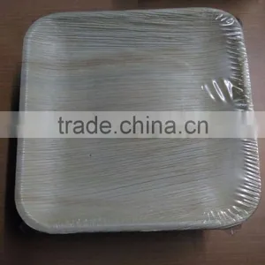 Bio Degradable Plates thumbnail-3