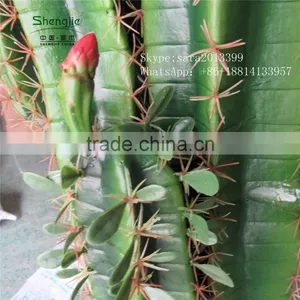 CHY030930 Landscaping Cactus Plant With Flowers/indoor Plastic Succulent Plant thumbnail-6