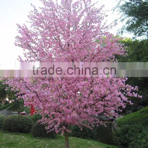Peach Blossom Cherry Flower Tree Man Made Blooming Real Trunk Tree With UV RESISTANCE thumbnail-3