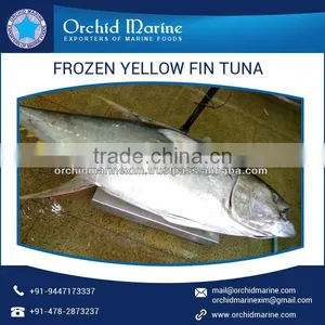 Yellowfin Tuna With Definite Flavor Available From Top Manufacturer/Supplier thumbnail-4