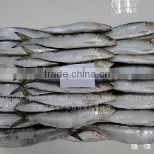 Frozen Fish Frozen Sardine 60--80 thumbnail-1