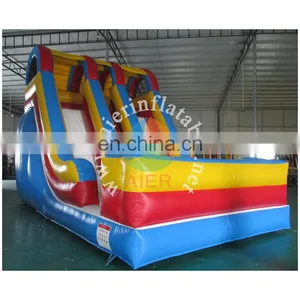 Double Lanes Inflatable Water Slides for Sale, Giant Inflatable Slide for Adult thumbnail-1