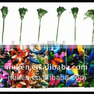 China Regional Feature and Plastic Material 3D Lenticular Sheet thumbnail-1
