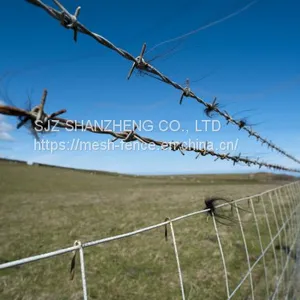 Hot Dipped Galvanized Barbed Wire Security Fence thumbnail-4