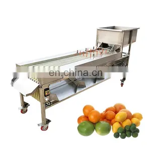 Fruit and Vegetable Sorting and Grading Machine,products Sizer,fruit Sorting and Grading Machine. thumbnail-1