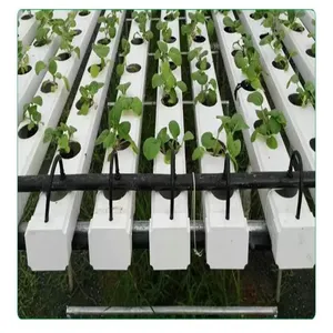 White Transparent Rectangular Tube PVC Plastic Square Pipe thumbnail-5