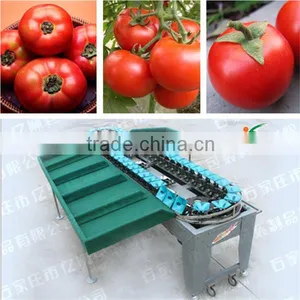 Sorter Type Onion Sorting Machine thumbnail-2