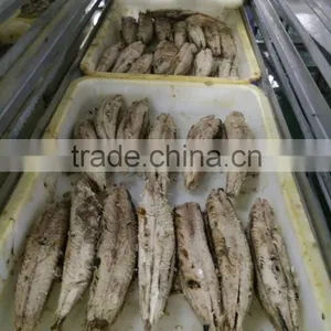 Frozen Bointo Cooked Loin Product thumbnail-1
