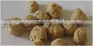 Soya Protein Making Machine thumbnail-2