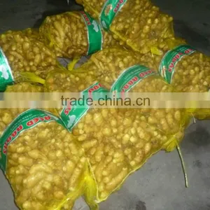 Chinese Fresh Ginger thumbnail-1