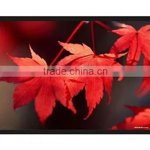 Fixed Frame Screen With High Contrast Theatre Fabric thumbnail-1