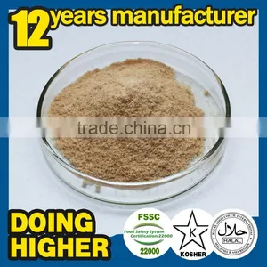 Alkaline Protease Apply to Membrane Washing Detergent Protease Alkaline Enzyme Washing Alkaline Enzyme thumbnail-2