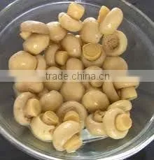Canned Mushroom in Cans thumbnail-1
