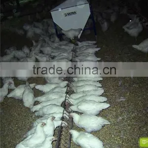 Chain Feeding System thumbnail-1