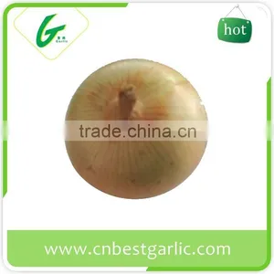 Importers of Dehydrated Fresh Onion thumbnail-2