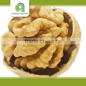 Nut for Snacks Walnut With Thin Shell, Unshelled Walnut thumbnail-1