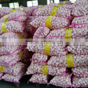 Normal White Fresh Garlic With Carton Mesh Bag thumbnail-5