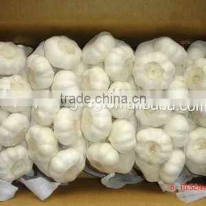 2011new Crop Fresh Chinese Pure White Garlic thumbnail-1