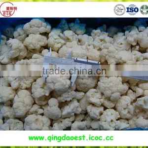ISO 9001 Export Bulk High Quality and Compeitive Price IQF Frozen Cauliflower thumbnail-5