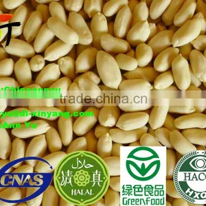 Peanut Kernel thumbnail-1