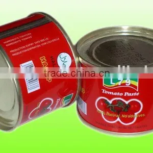 Canned Tomato Paste thumbnail-1