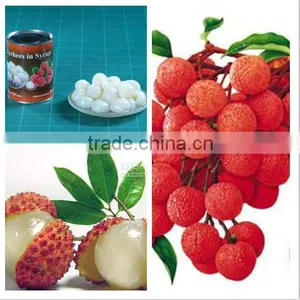 Canned Lychee Whole in Heavy Syrup 425g thumbnail-1