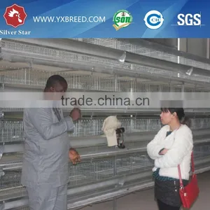 Automatic Poultry Equipment for 20000 Birds Farm Sale thumbnail-1