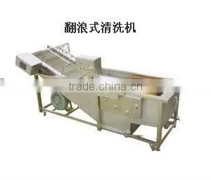 High Efficiency Bubble Vegetable Washing Machine thumbnail-1