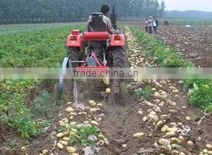 Agricultural Peanut Combine Harvester for Wholesales thumbnail-1