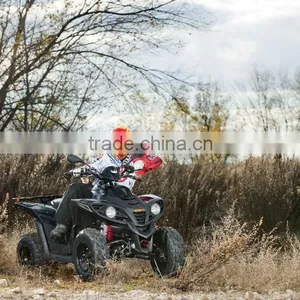 Atv 300 thumbnail-1