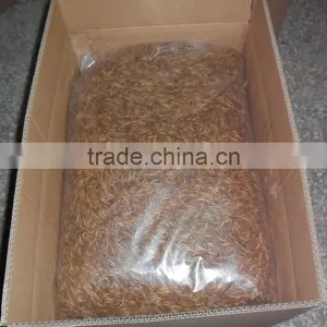 FDA Certification Dried Mealworms for Sale thumbnail-5