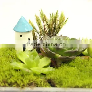 DIY Accessories Natural Moss Decorative Green Moss for Micro Landscape thumbnail-1