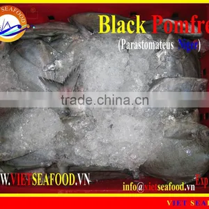 W/R FROZEN BLACK POMFRET thumbnail-1