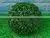 Guangzhou Wholesale Artificial Milan Grass Balls Fake Artificial Grass Ball Plastic Artificial Milan Grass Ball thumbnail-2