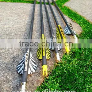 Striped Plastic Vanes Carbon Arrows With Pin Nocks thumbnail-1