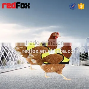 2015 New Product Kitchen Safety Pet Clothes thumbnail-1