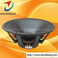 Good Price 21 Inch Speaker thumbnail-1