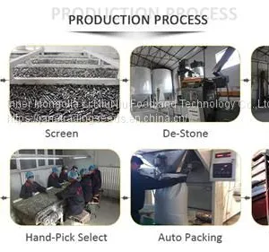 High Quality Turkish Sunflower Seed From Inner Mongolia thumbnail-3