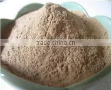 Superior Quality Organic Noni Powder Sale thumbnail-5