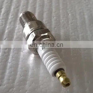 Spark Plug For BS120 BS160 BS200 BS240 BS270 BS340 BS390 Generator Lawnmower thumbnail-5