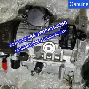 2644H215 2644H2165 2644H216R Perkins Delphi Diesel Fuel Injection Pump thumbnail-1