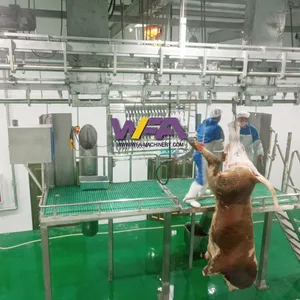 Cattle Slaughter Line Abattoir Equipment Slaughtering Line Butcher Machine Bleeding Conveyor thumbnail-3