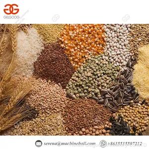 Fast Speed Barley Cereal Roasting Machine Electric Grain Roaster Machine thumbnail-4