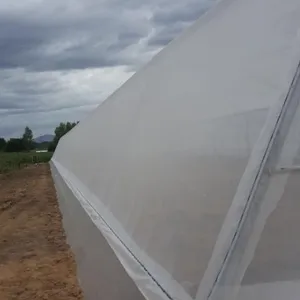 Fabrik liefert hochwertiges, preiswertes transparentes weißes Insektenschutznetz für Gewächshäuser und Landwirtschaft thumbnail-5