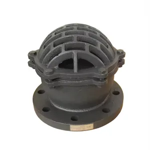 BS/DIN DN100 PN16 Cast Iron/Ductile Iron GG25 GGG50 Foot Valve Flange/Thread Foot Valve Factory thumbnail-2