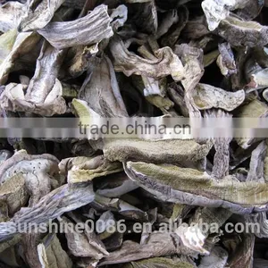 Market Prices For Boletus thumbnail-3