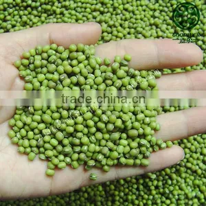 New Crop Peeled Split Green Mung Beans thumbnail-3